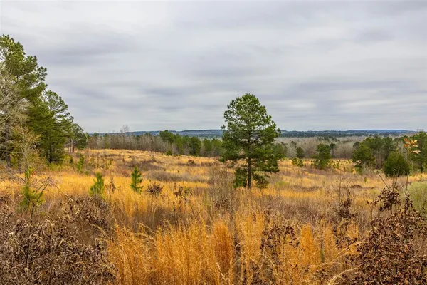 $975,000 | 0 County Road 4243 D, Laneville, TX 75667