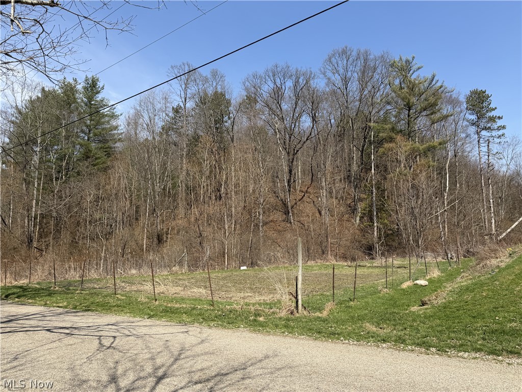6809 Leonhard Hill Road Southwest Port Washington, OH 43837 - Photo 20 of 21