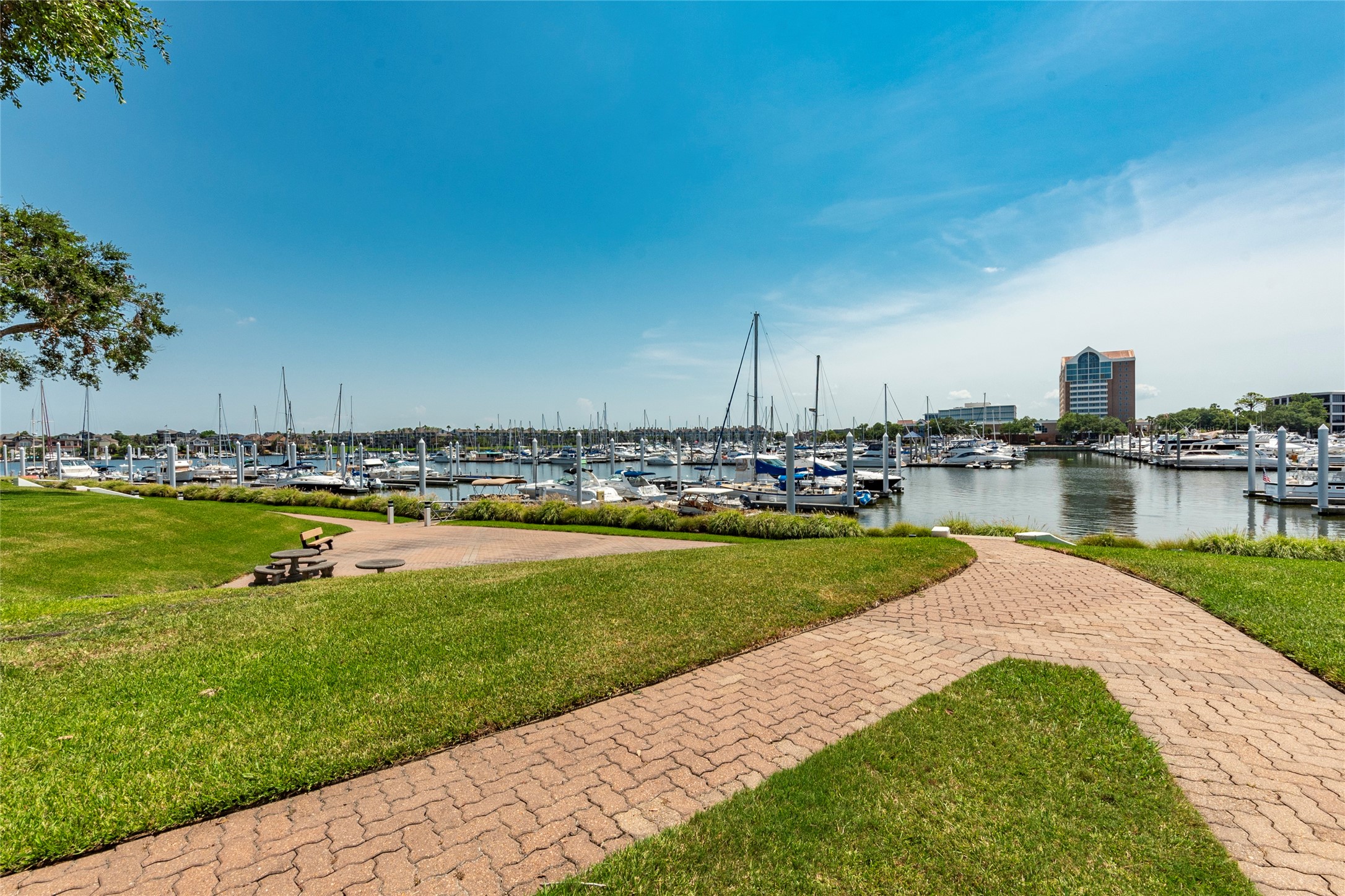 2037 Enterprise Avenue League City, TX 77573 - Photo 1 of 49 a view of a swimming pool and an outdoor space