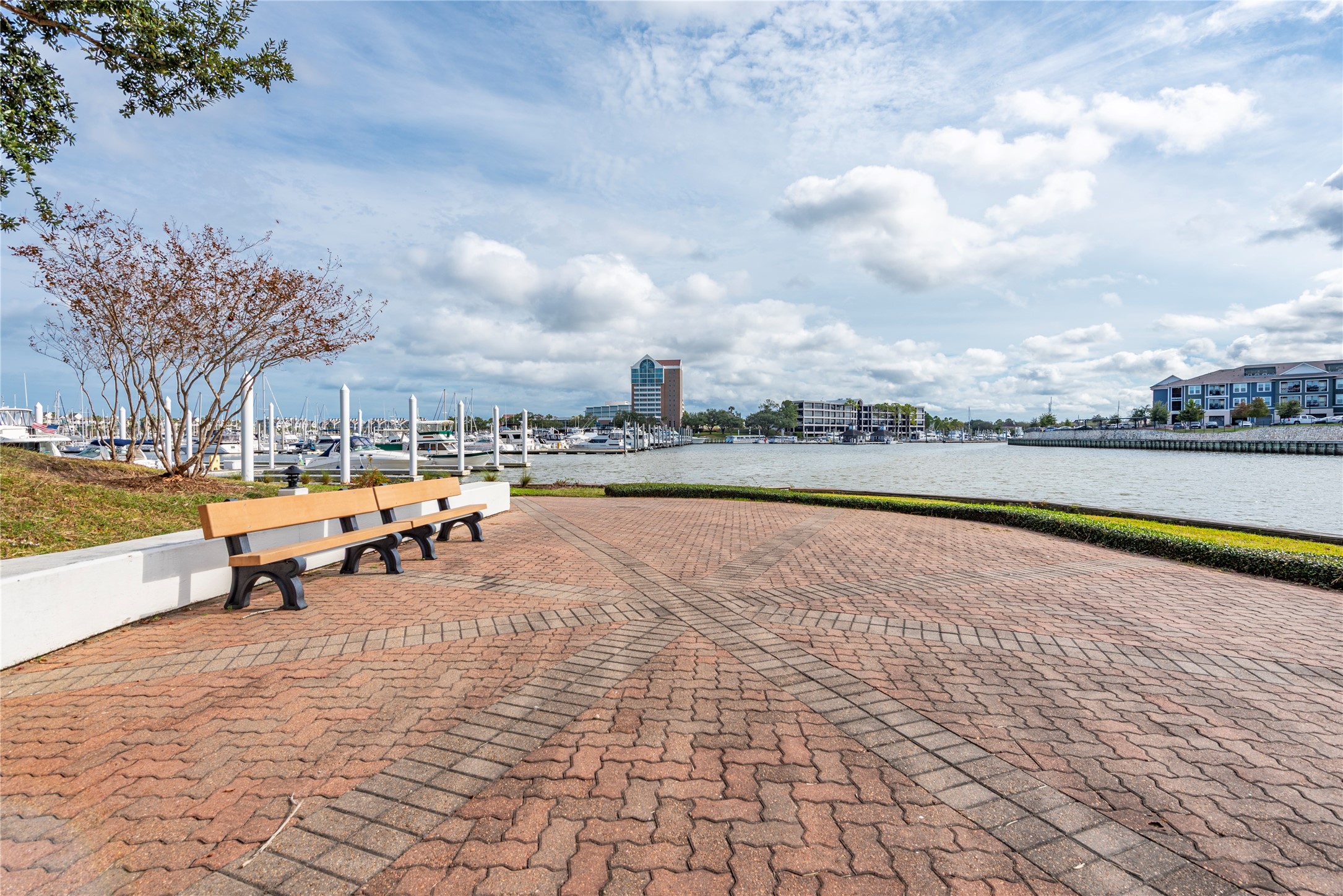 2037 Enterprise Avenue League City, TX 77573 - Photo 43 of 49 a view of a swimming pool and lake in back