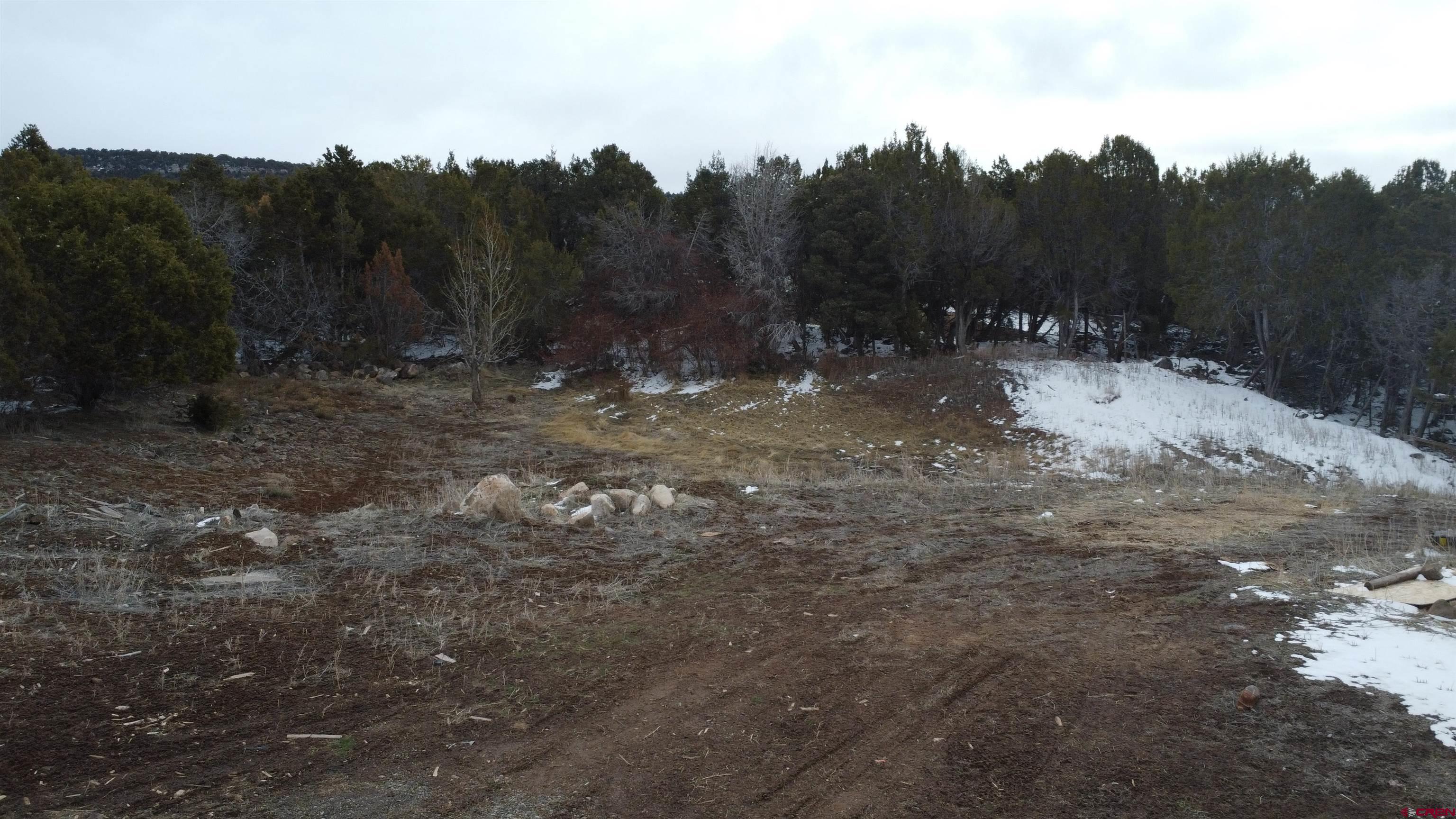 18828 Surface Creek Road Cedaredge, CO 81413 - Photo 8 of 23 View of nature featuring a view of trees