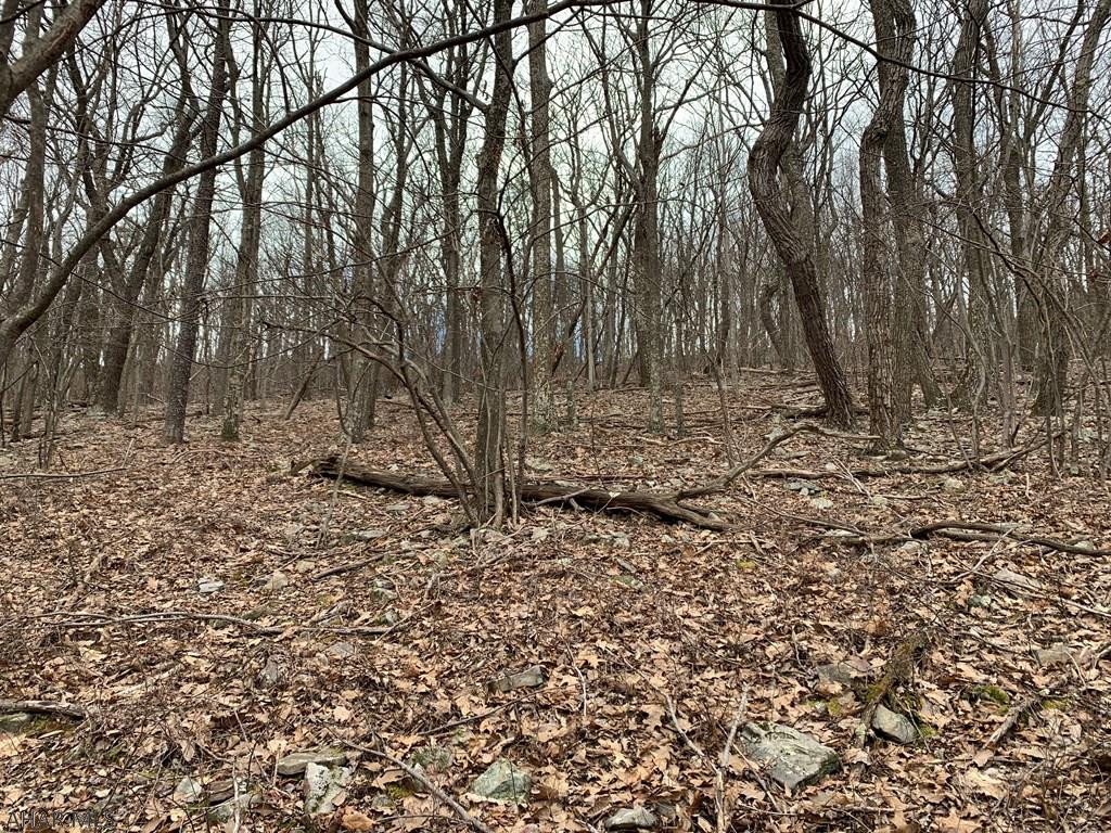 Lot 5 Monroe Mountain Road Clearville, PA 15535 - Photo 8 of 31 Gallery Image 8