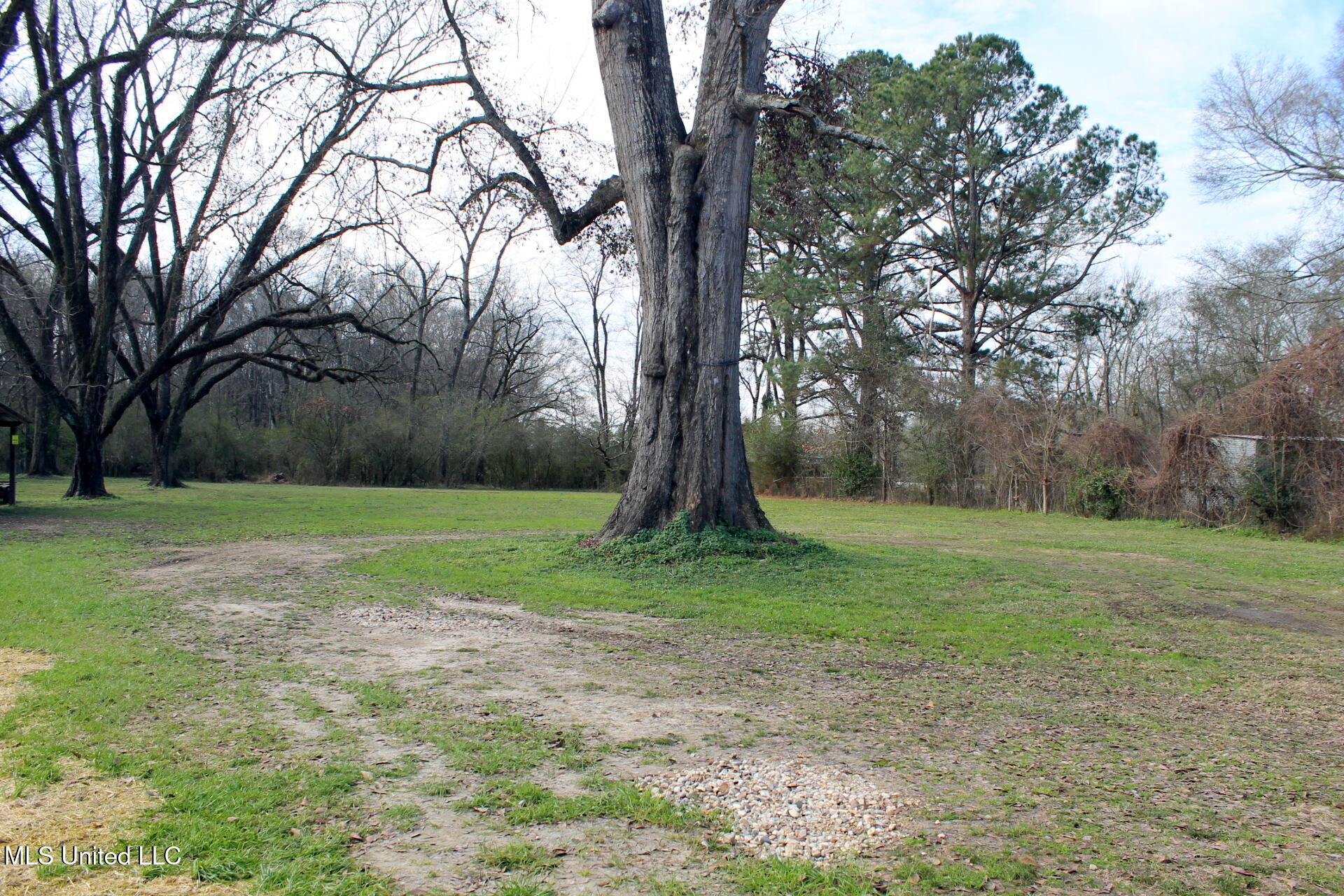 Undisclosed Address Byram, MS 39272 - Photo 8 of 24 IMG_2612