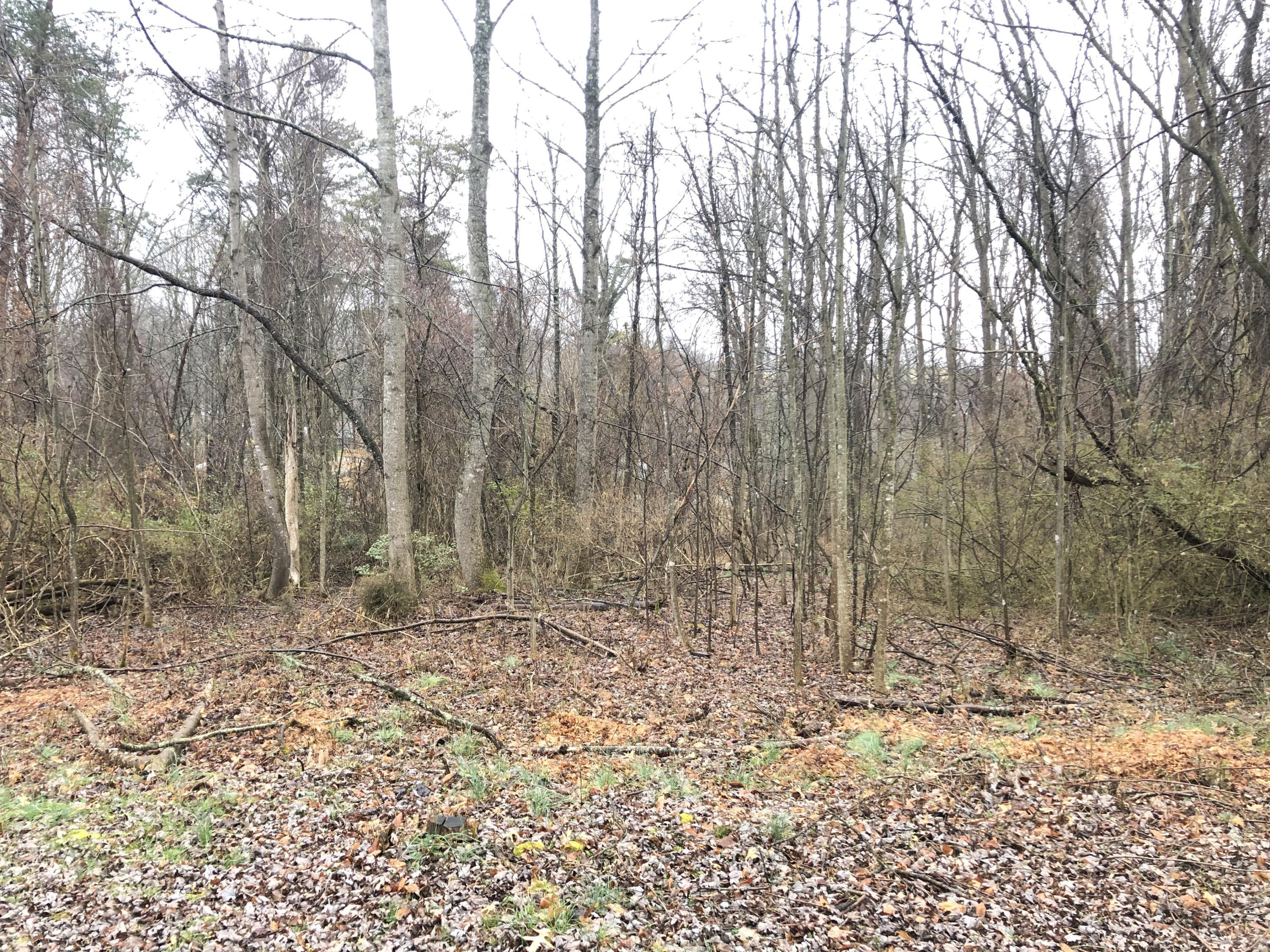 1404 Ridgecrest Road Johnson City, TN 37604 - Photo 57 of 64 IMG_0414