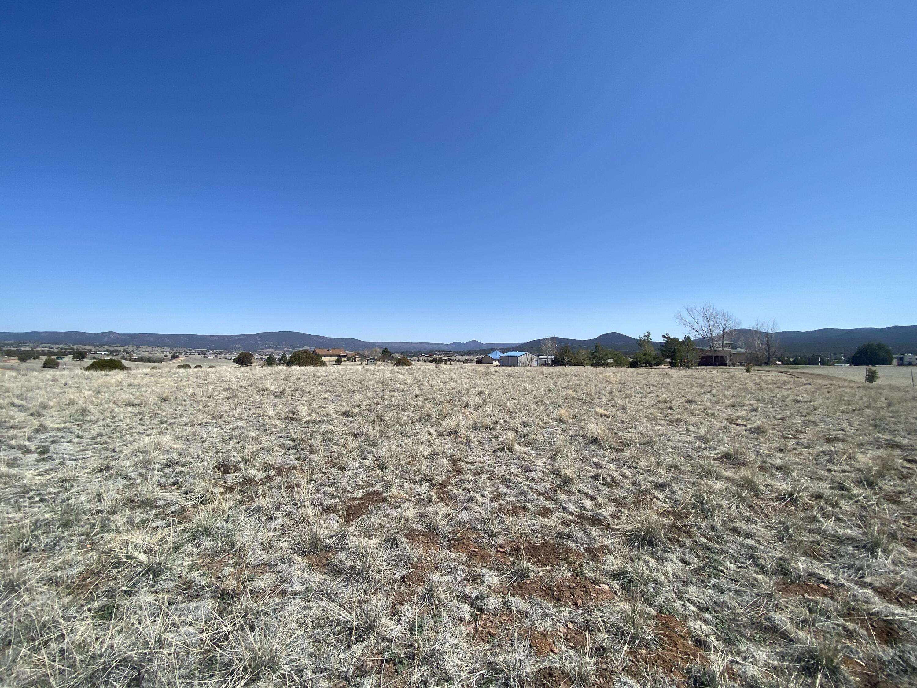 0 Rolling Hills Road Young, AZ 85554 - Photo 13 of 21