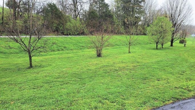 930 East Union Road Carlisle, KY 40311 - Photo 25 of 27 930 E UNION St (17)
