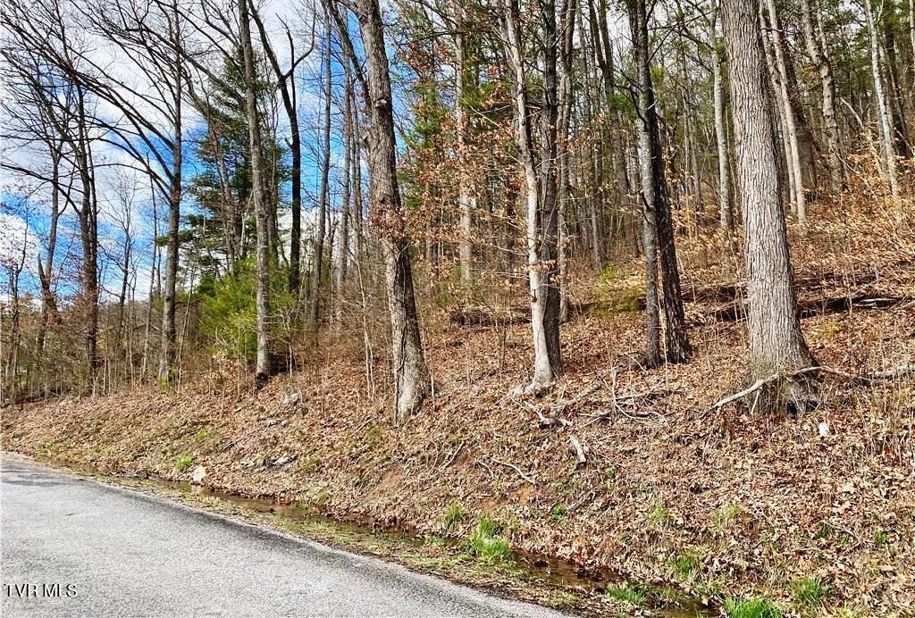 Tbd Rhea Road, Unit 23 Mountain City, TN 37683 - Photo 8 of 9 tn5