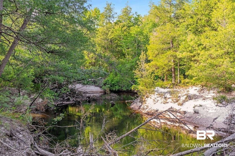 11100 Kali Oka Road Eight Mile, AL 36613 - Photo 24 of 49