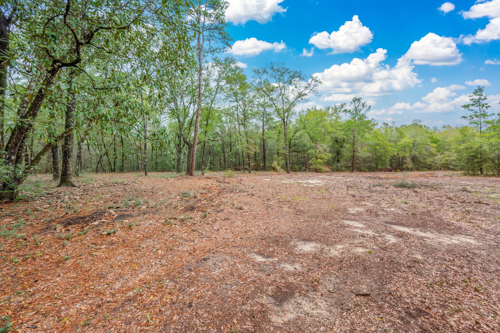 4.69 Acres Jv Woolley Road Crestview, FL 32539 - Photo 8 of 13 16-web-or-mls-jv-woolley-rd