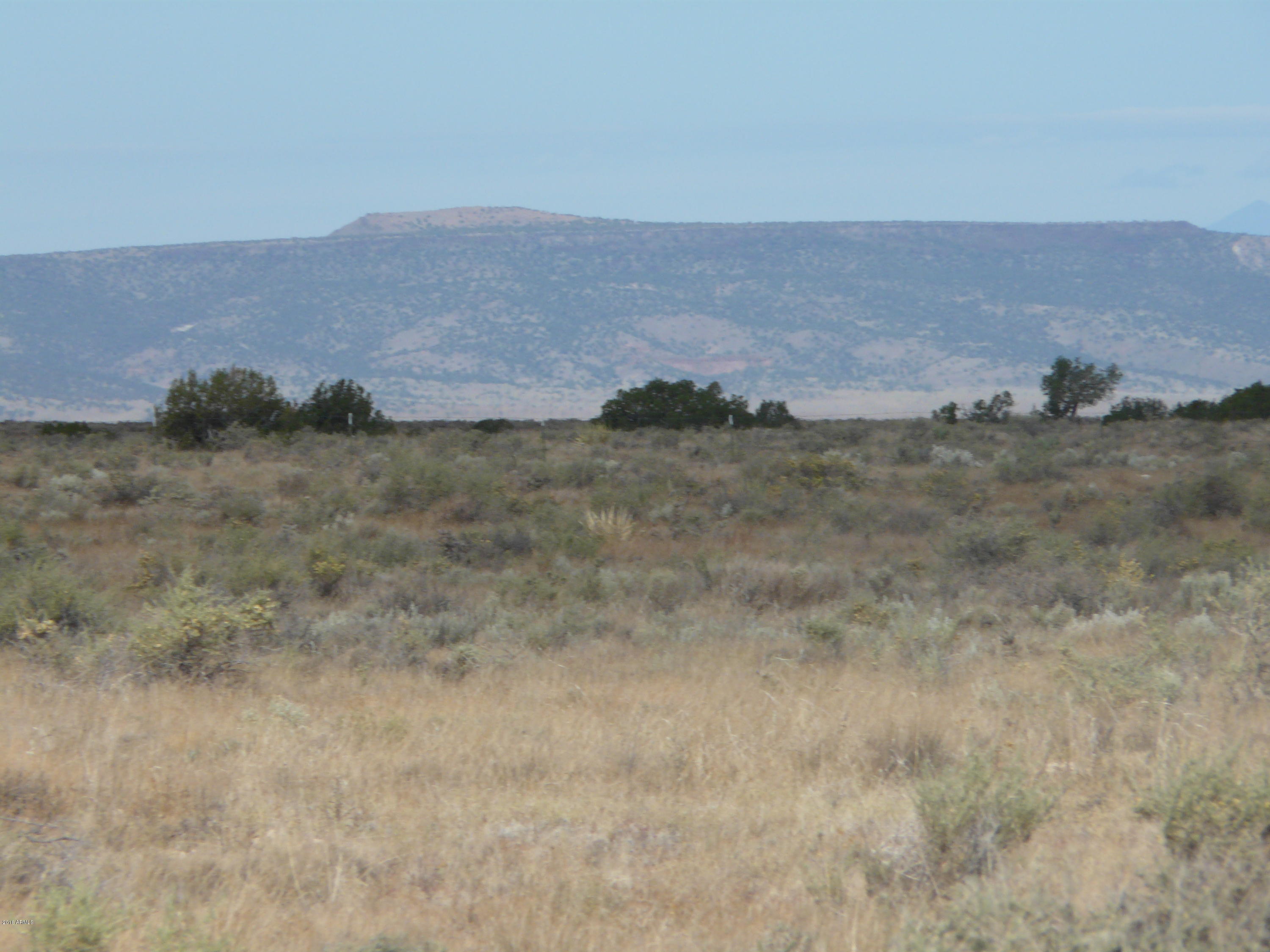 786 Whisper Ridge Run, Unit 670 Heber, AZ 85928 - Photo 23 of 24 100 acres FREE 023