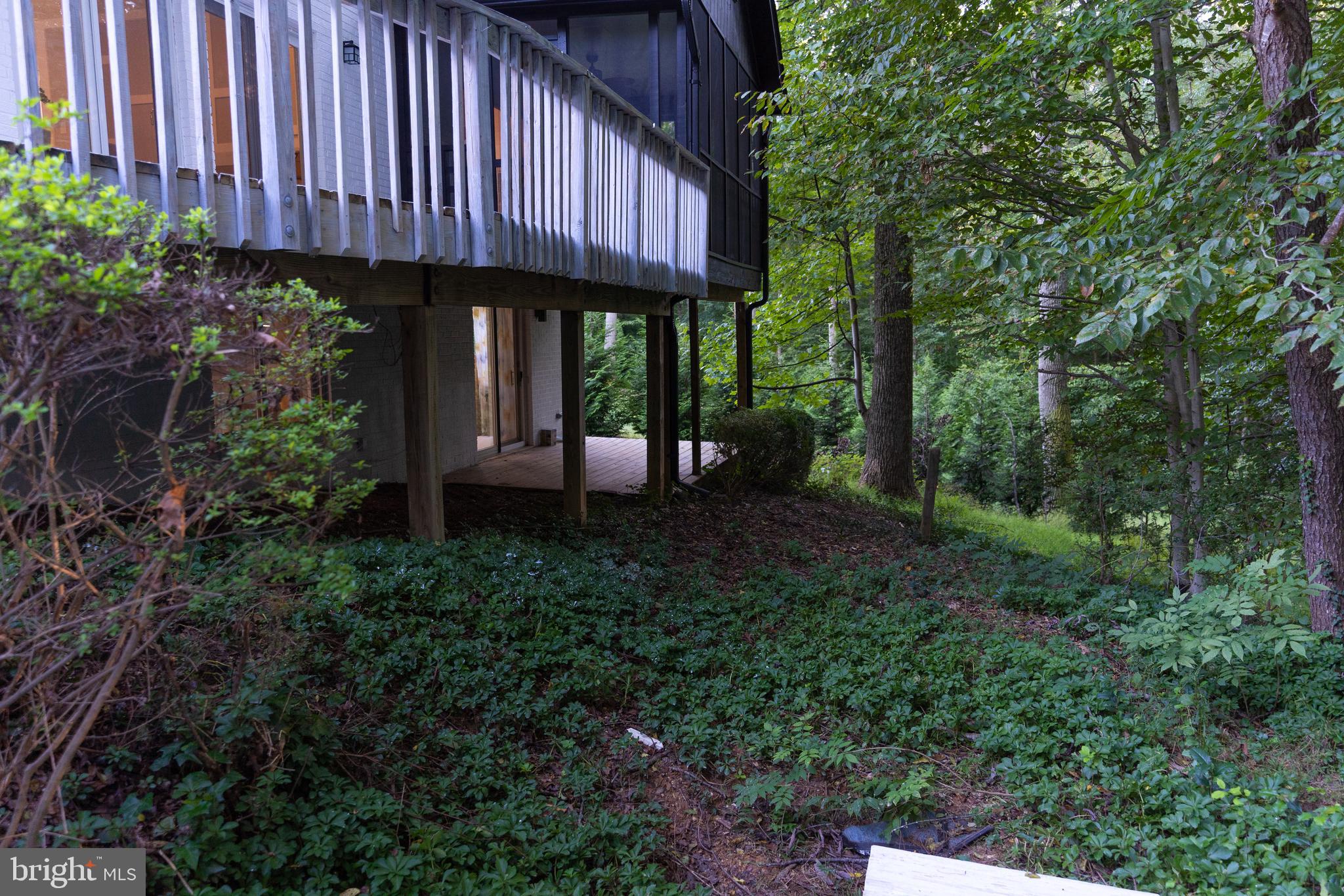 604 Utterback Store Road Great Falls, VA 22066 - Photo 17 of 64