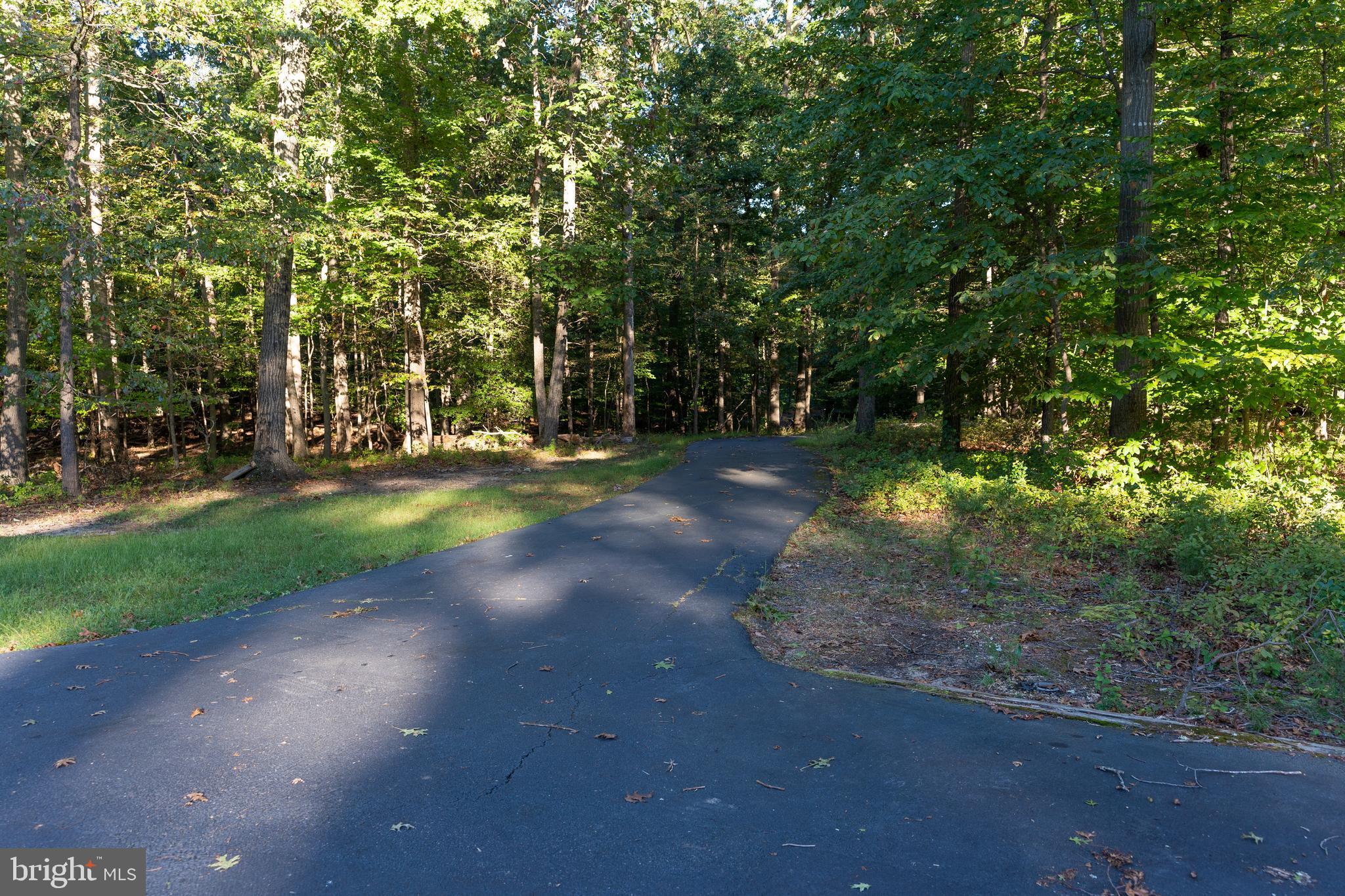 604 Utterback Store Road Great Falls, VA 22066 - Photo 4 of 64