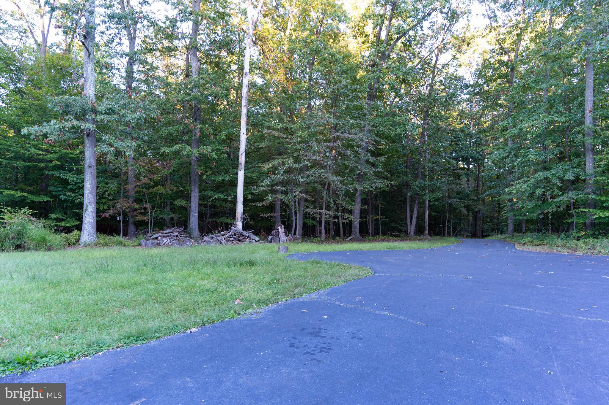 604 Utterback Store Road Great Falls, VA 22066 - Photo 5 of 64