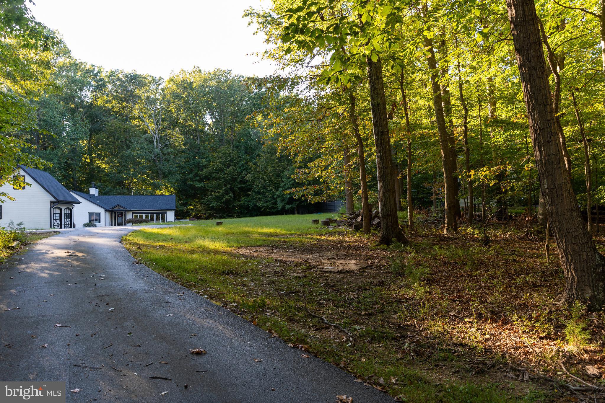 604 Utterback Store Road Great Falls, VA 22066 - Photo 6 of 64
