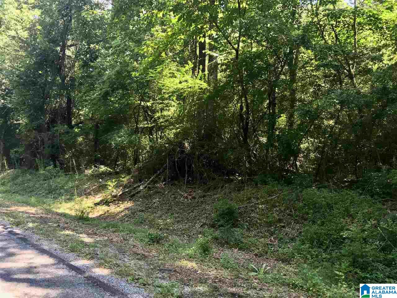 0 Davis Acres Drive, Unit 18 Alpine, AL 35014 - Photo 8 of 11