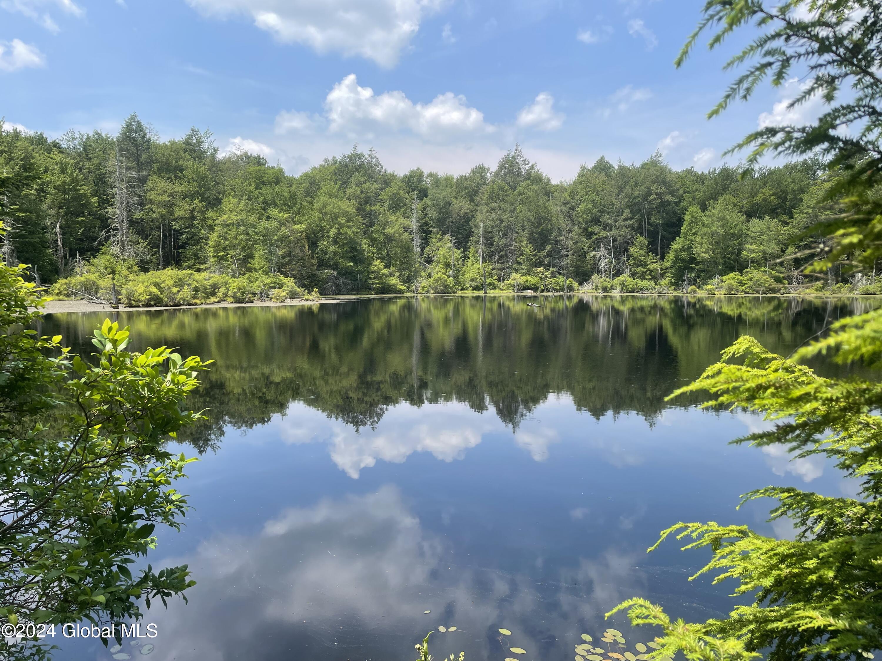 237 Glen Wild Road Thompson, NY 12775 - Photo 3 of 51 Pond My Photo