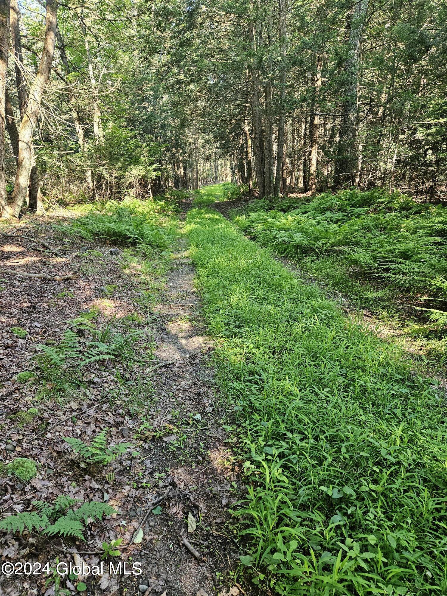 237 Glen Wild Road Thompson, NY 12775 - Photo 33 of 51 Woods 2