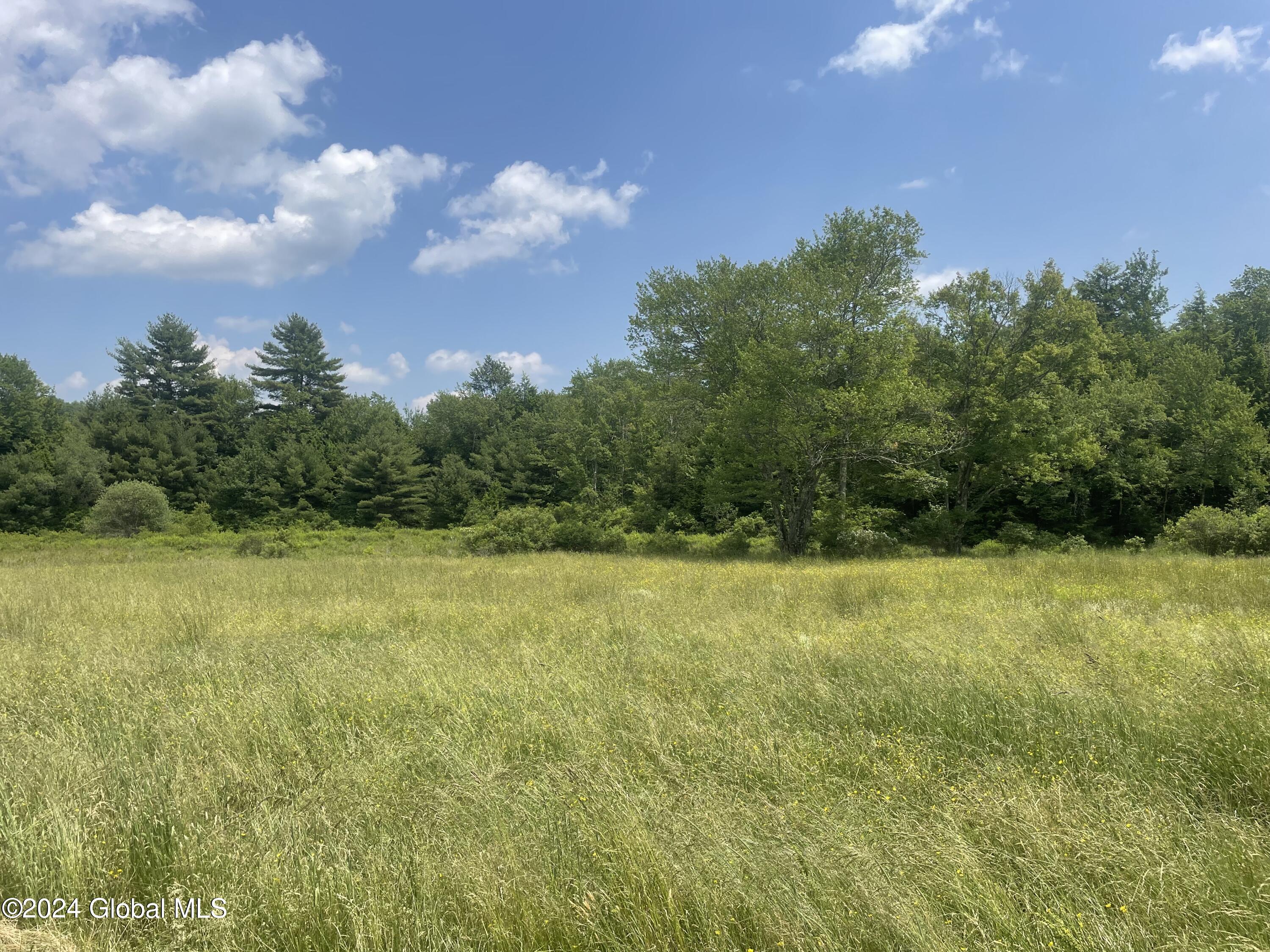 237 Glen Wild Road Thompson, NY 12775 - Photo 34 of 51 Field View