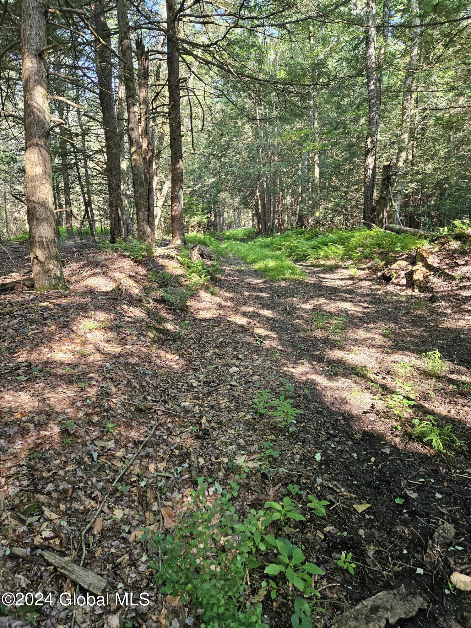 237 Glen Wild Road Thompson, NY 12775 - Photo 35 of 51 Woods 1