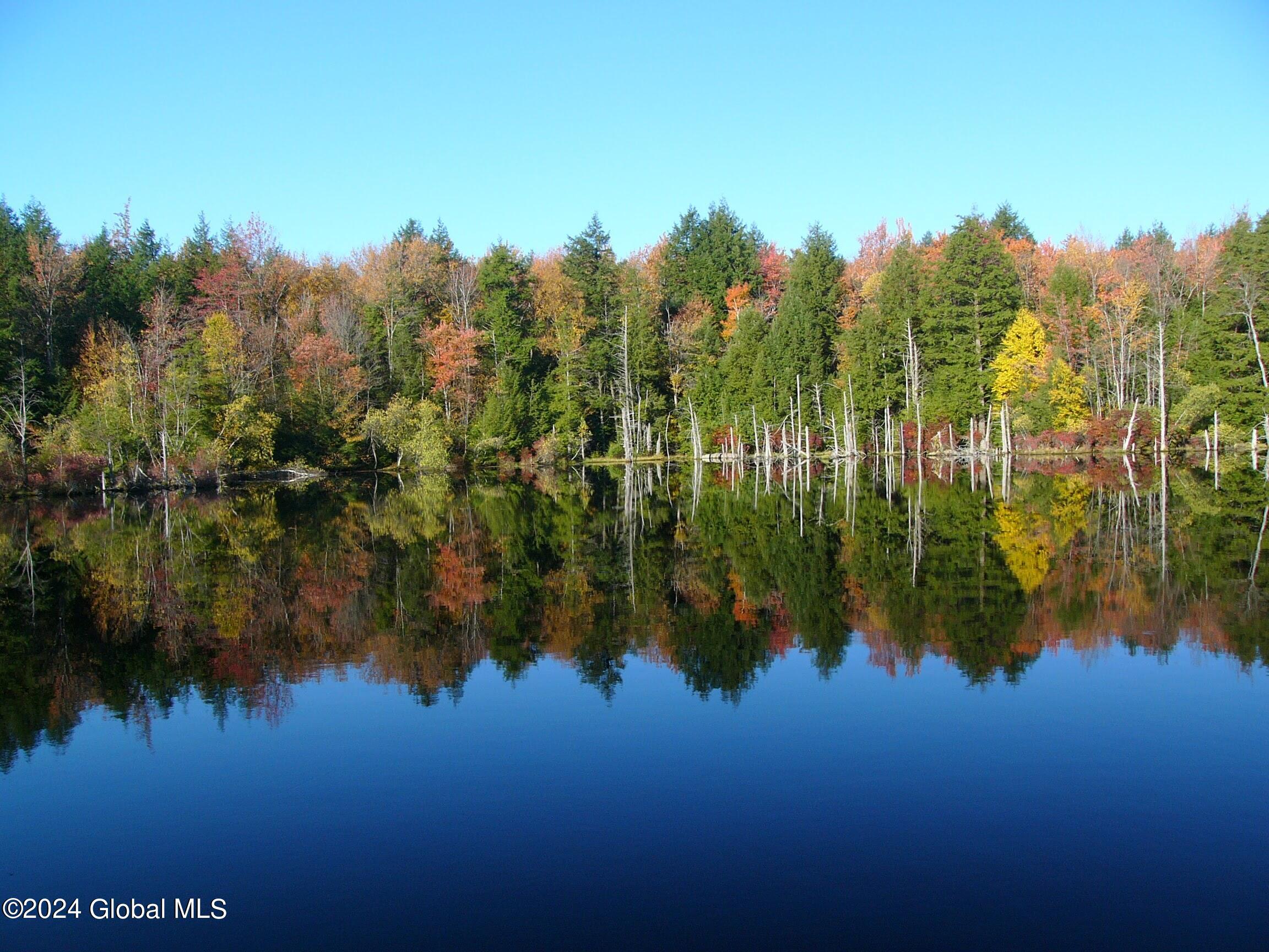 237 Glen Wild Road Thompson, NY 12775 - Photo 36 of 51 Autumn Farm Pond_08