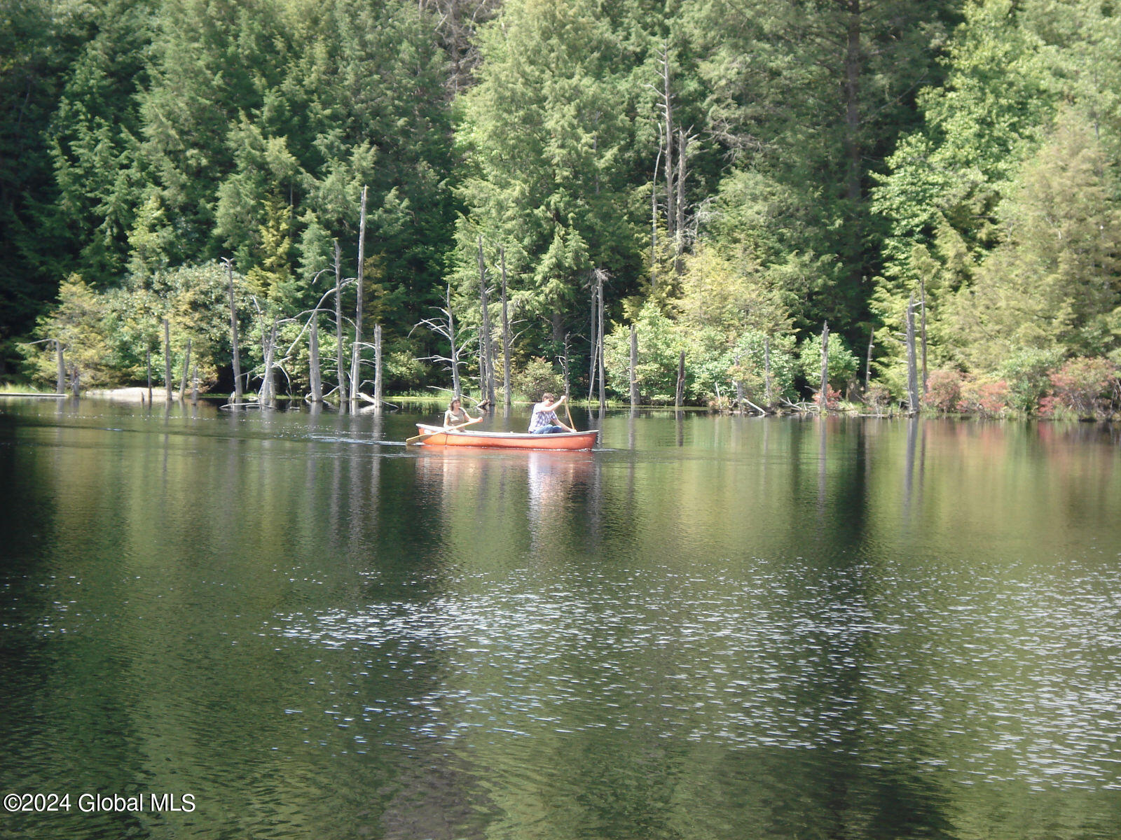 237 Glen Wild Road Thompson, NY 12775 - Photo 37 of 51 CanoeiOnPond2