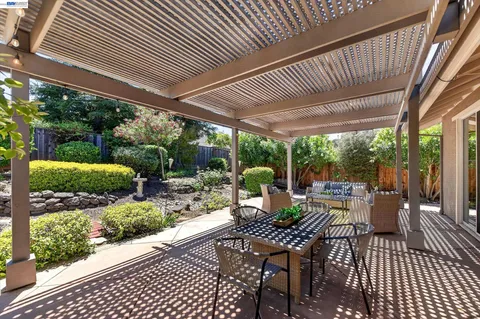 a view of a garden with potted plants