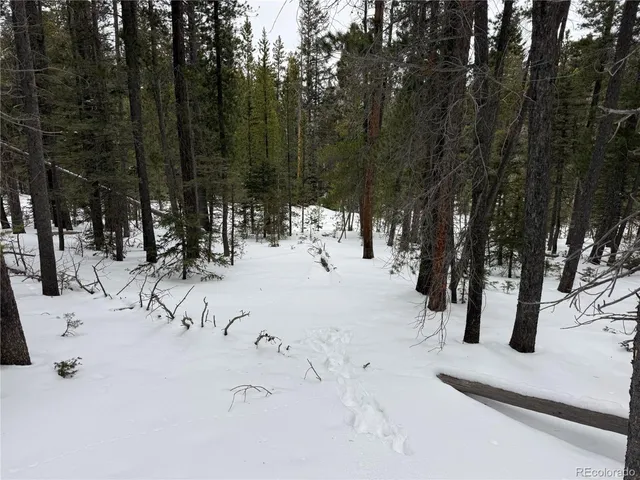 a view of snow on the road