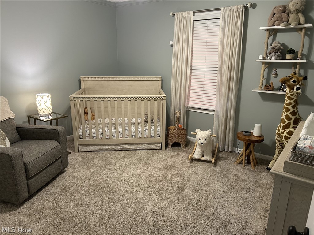 8575 Park Ridge Lane Macedonia, OH 44056 - Photo 14 of 25