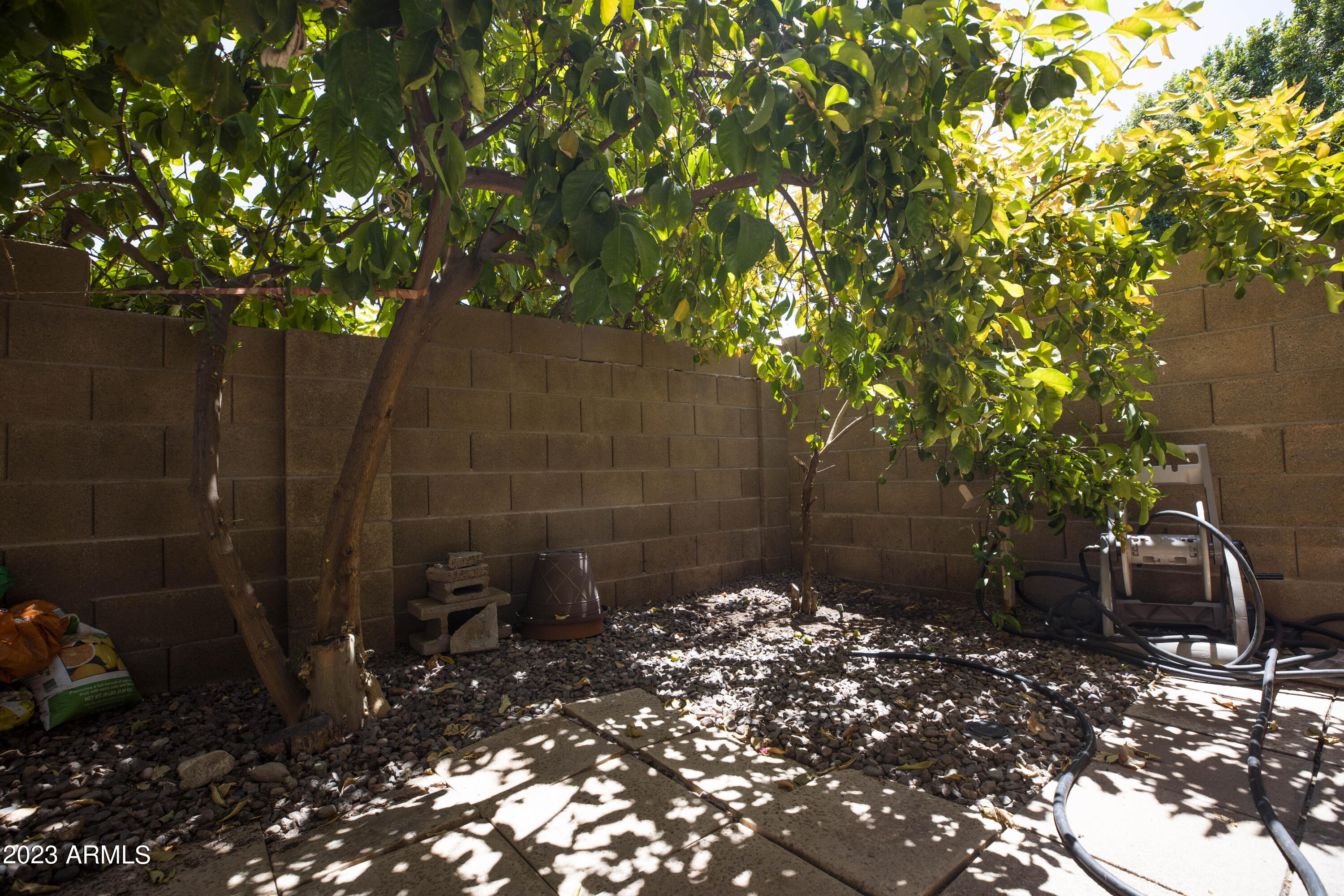 608 East Appaloosa Road Gilbert, AZ 85296 - Photo 28 of 38 _36A2801