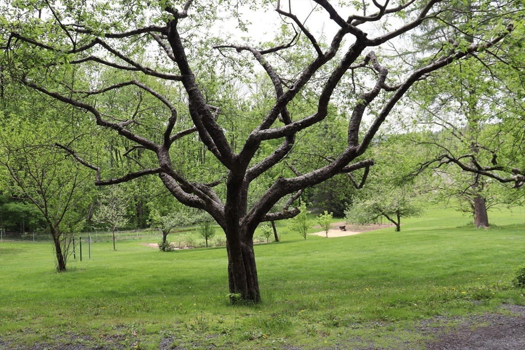 56 Brester Road Conway, MA 01341 - Photo 19 of 34