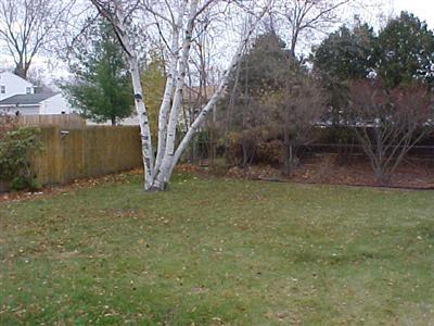 1589 Fairview Street Jenison, MI 49428 - Photo 2 of 7 Additional Photo