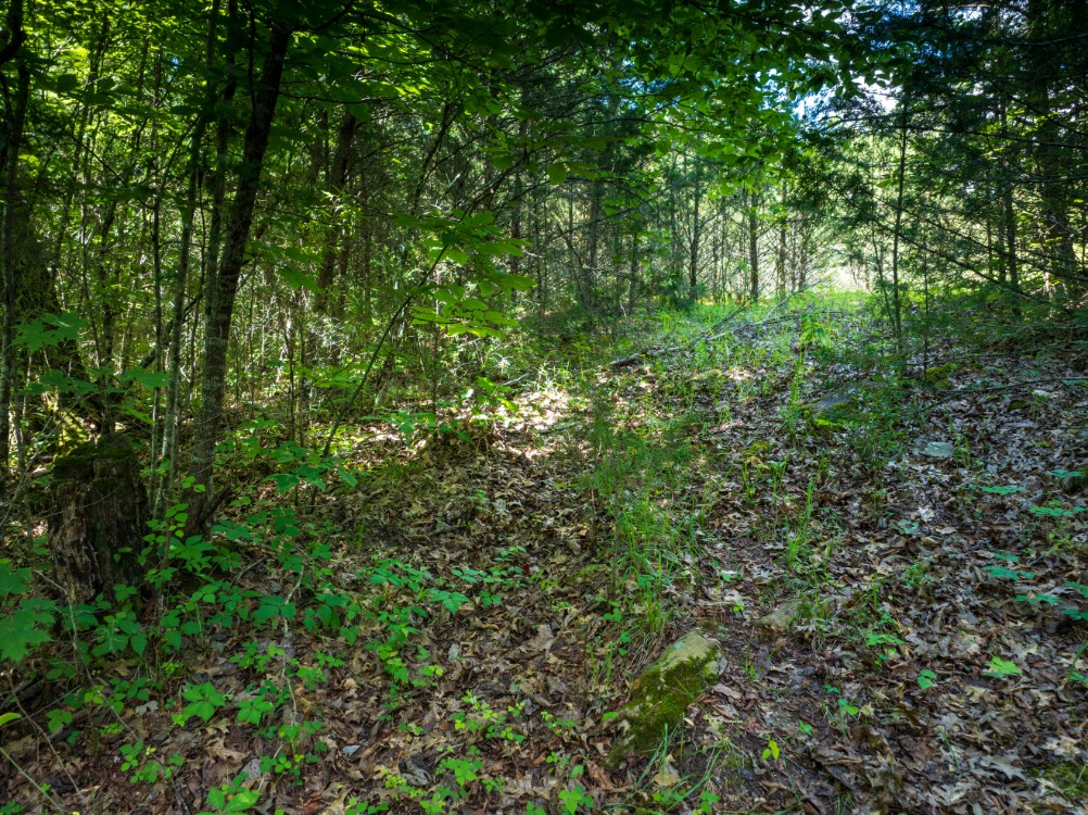 0 Round Barn Road Powder Springs, TN 37848 - Photo 8 of 40