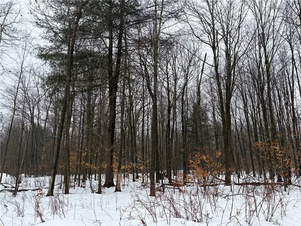 $79,900 | 2680 Apple Tree Road, Clarksville, NY 14715