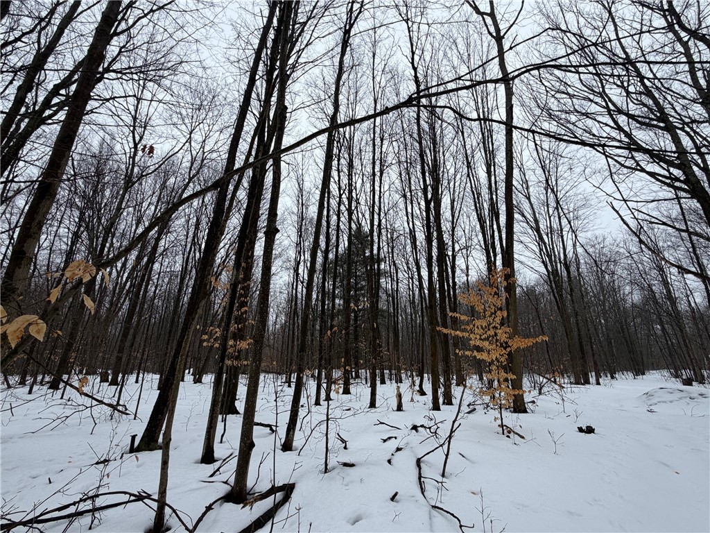 2680 Apple Tree Road Clarksville, NY 14715 - Photo 21 of 32