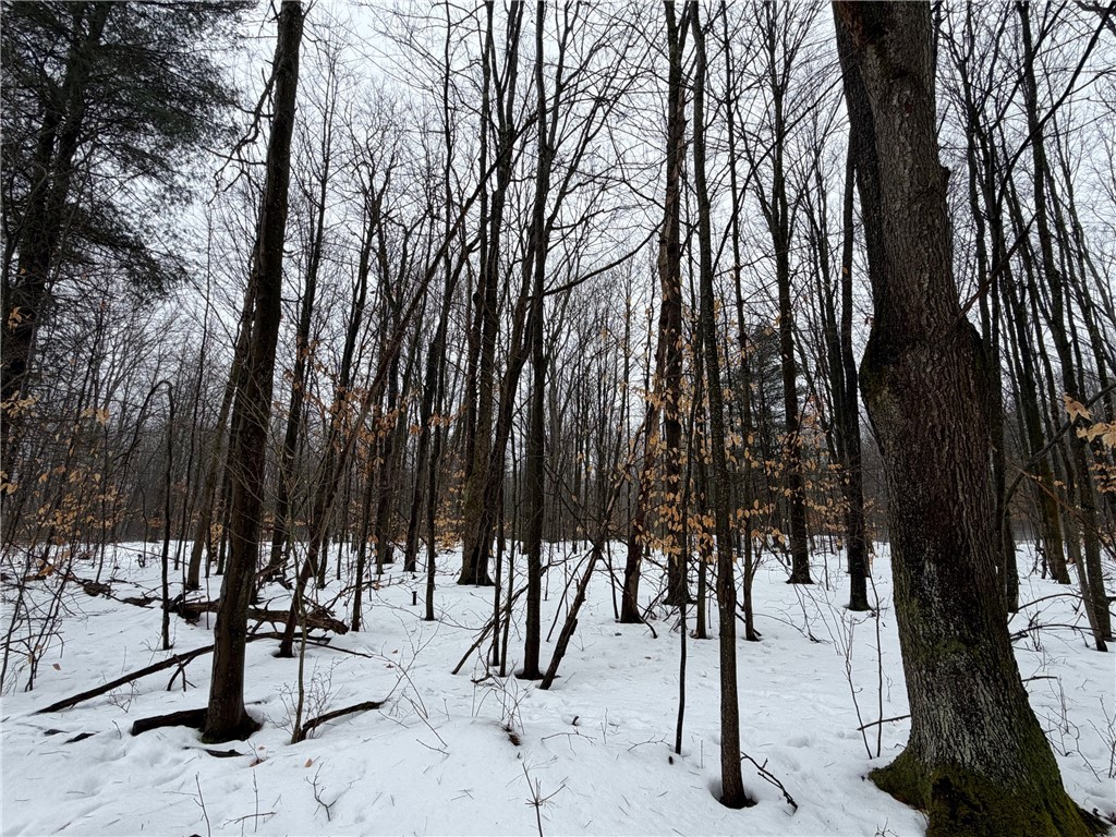 2680 Apple Tree Road Clarksville, NY 14715 - Photo 23 of 32