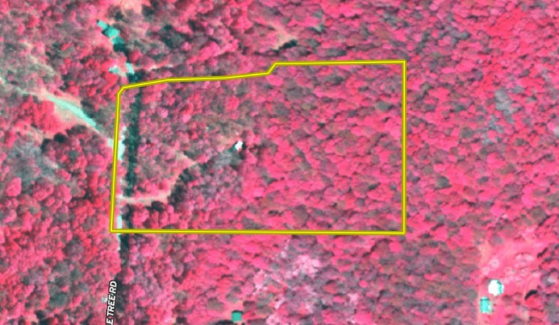 2680 Apple Tree Road Clarksville, NY 14715 - Photo 31 of 32