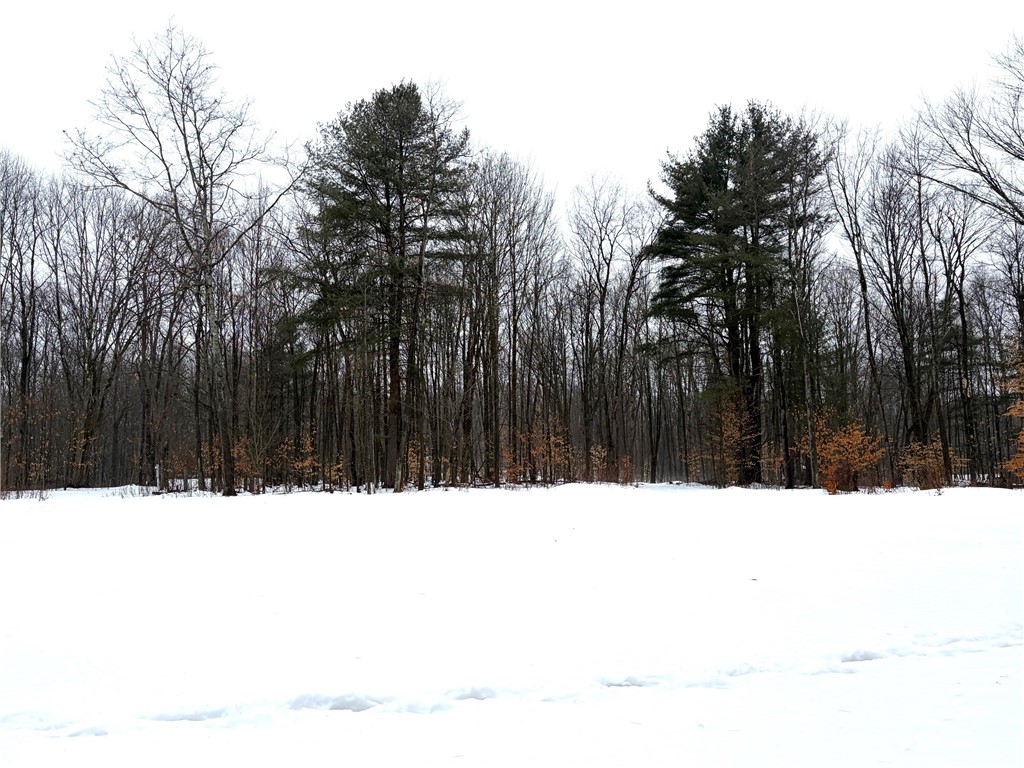 2680 Apple Tree Road Clarksville, NY 14715 - Photo 5 of 32