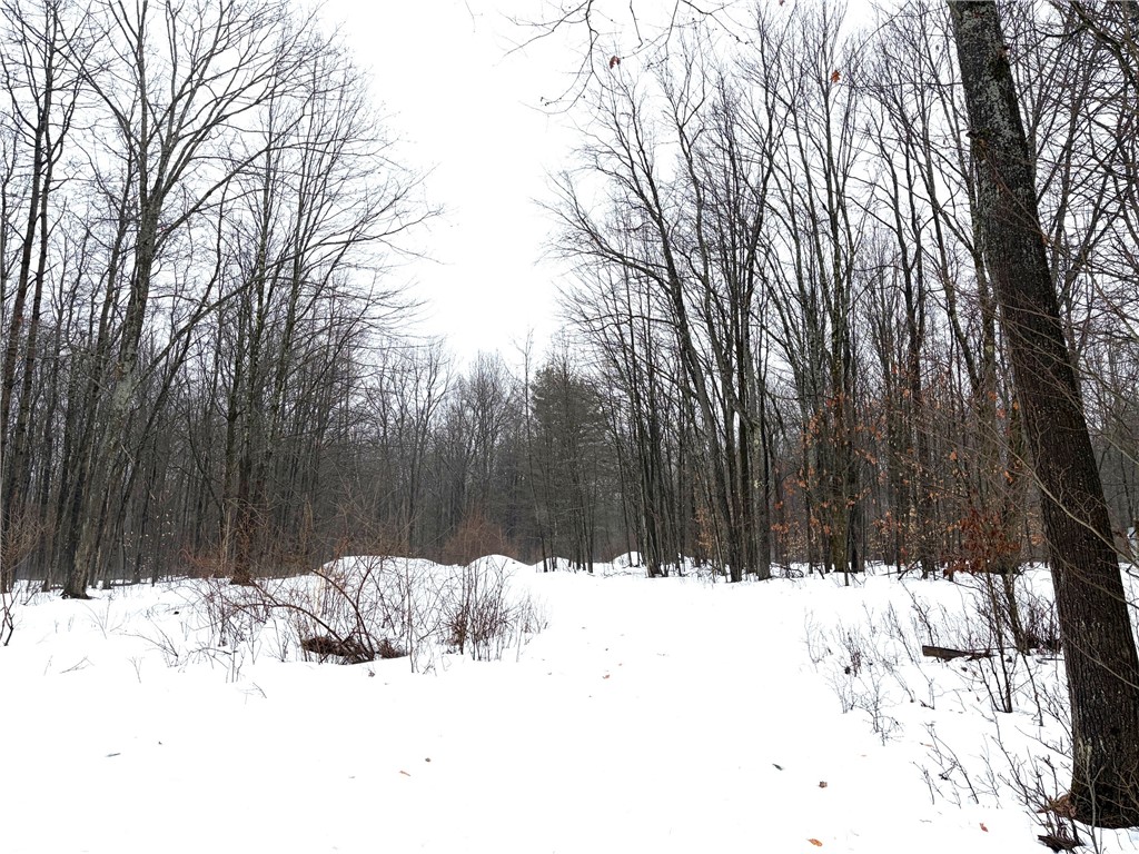 2680 Apple Tree Road Clarksville, NY 14715 - Photo 6 of 32