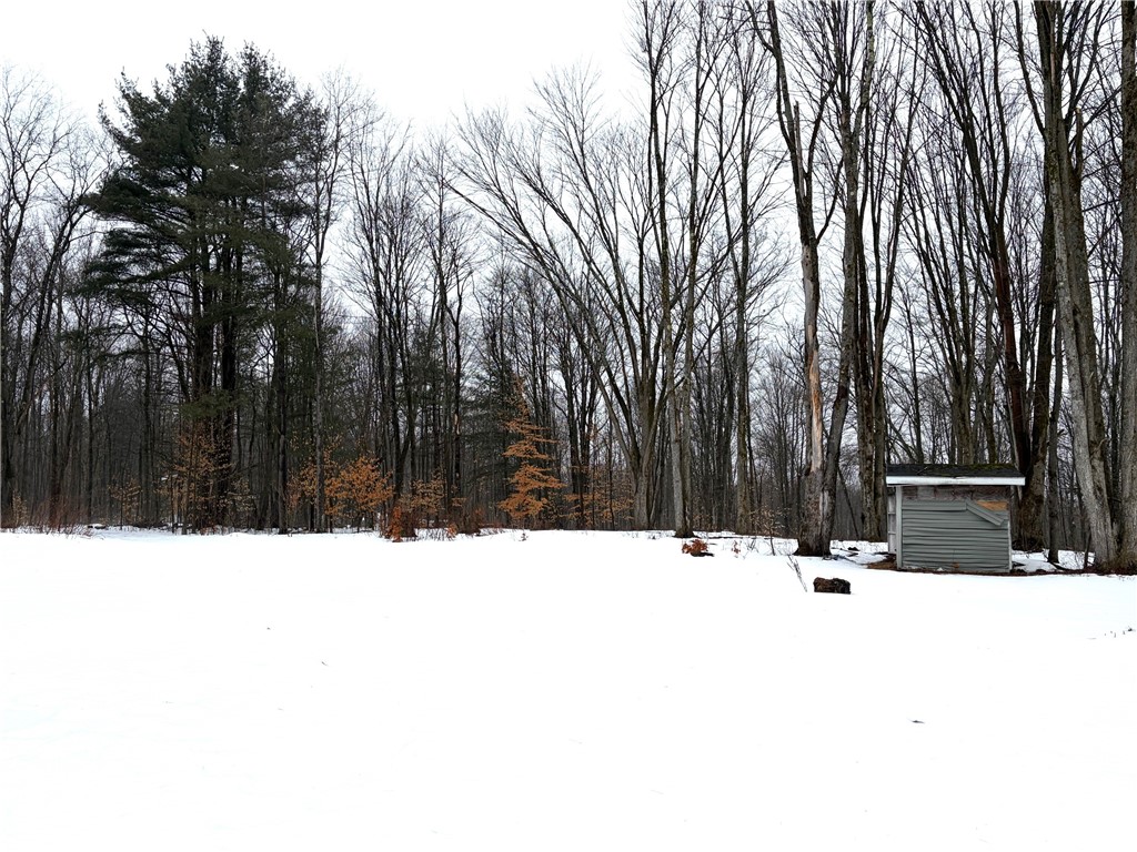 2680 Apple Tree Road Clarksville, NY 14715 - Photo 7 of 32