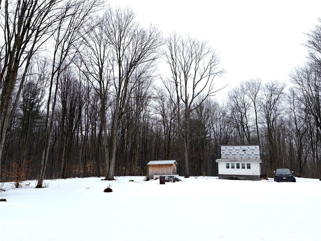 2680 Apple Tree Road Clarksville, NY 14715 - Photo 8 of 32