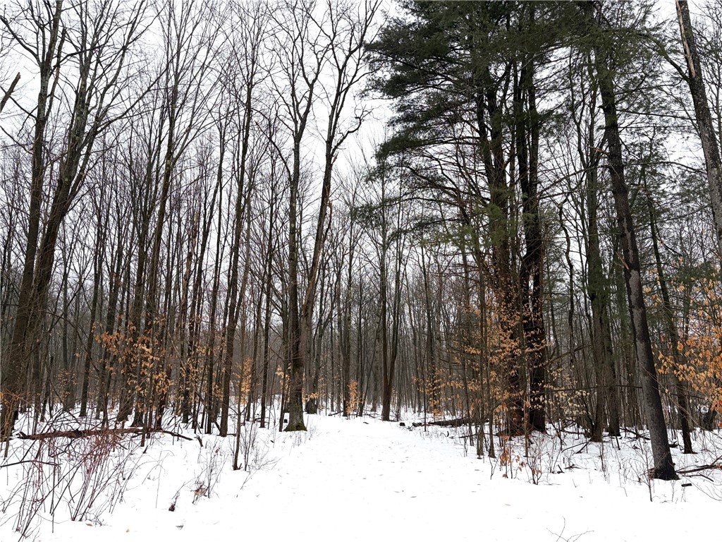 2680 Apple Tree Road Clarksville, NY 14715 - Photo 9 of 32