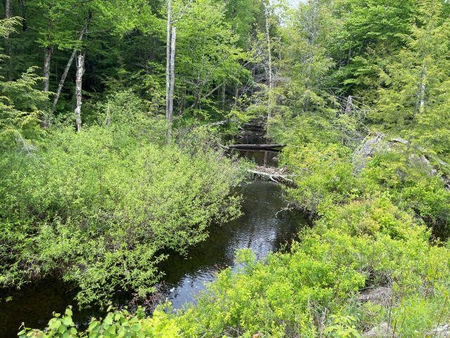 Dole School House Road Washington, NH 03280 - Photo 7 of 13