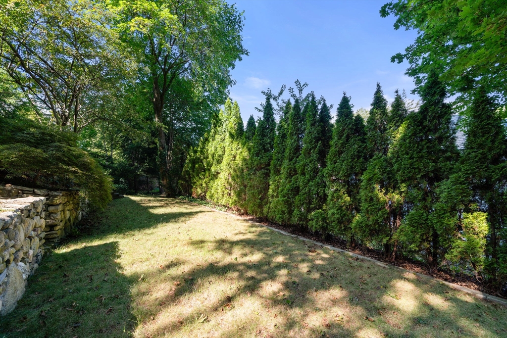 65 Shornecliffe Road Newton, MA 02458 - Photo 23 of 24 Gallery Image 23