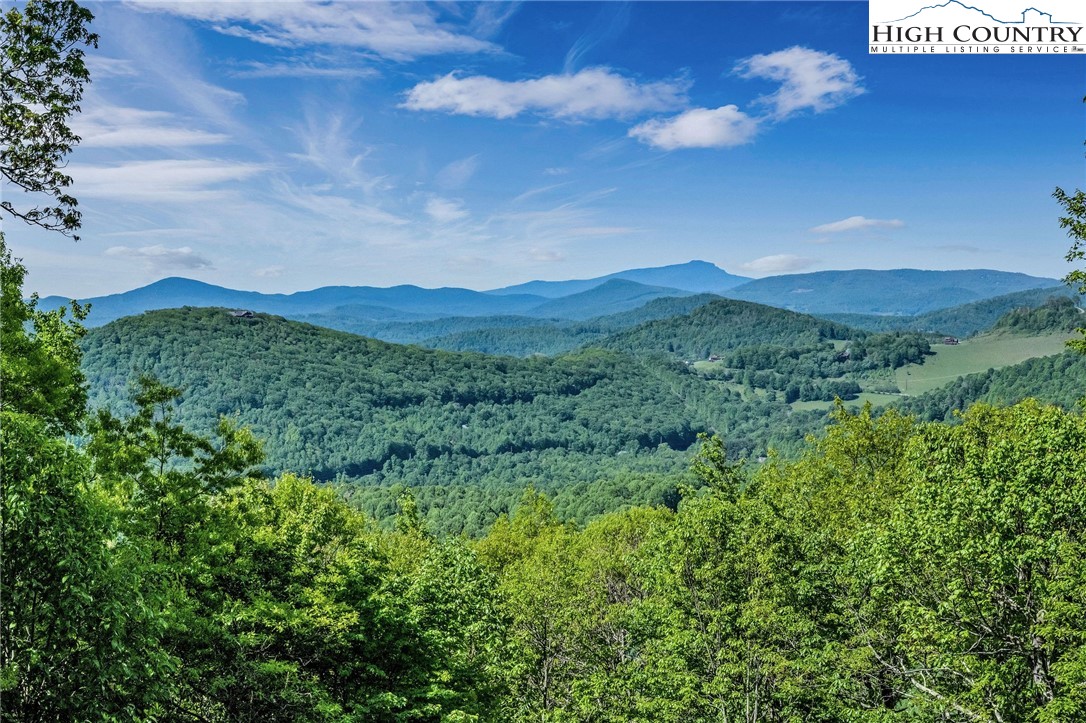 2248 Homestead Road Todd, NC 28684 - Photo 3 of 48 Gallery Image 3