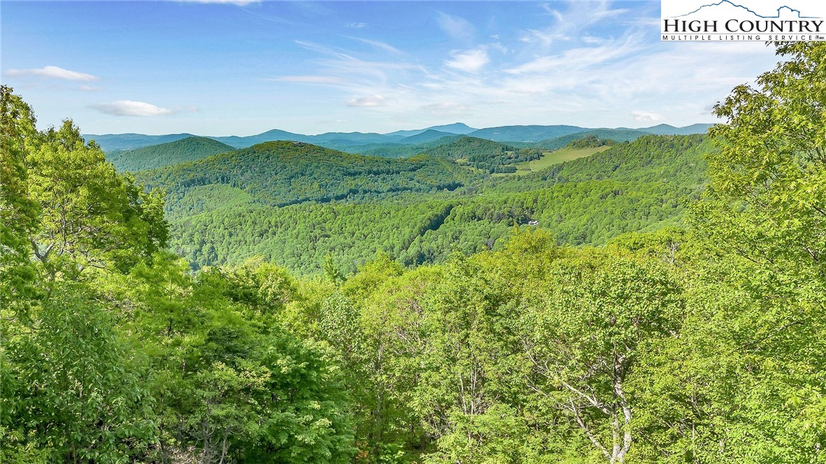2248 Homestead Road Todd, NC 28684 - Photo 45 of 48 Gallery Image 45