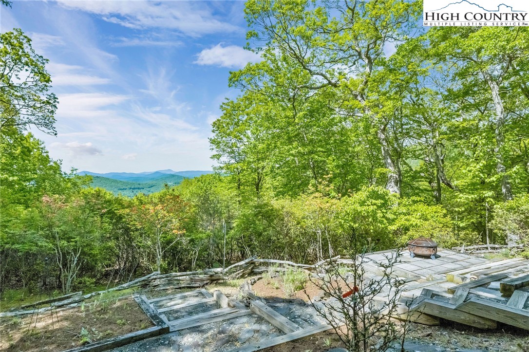 2248 Homestead Road Todd, NC 28684 - Photo 46 of 48 Gallery Image 46