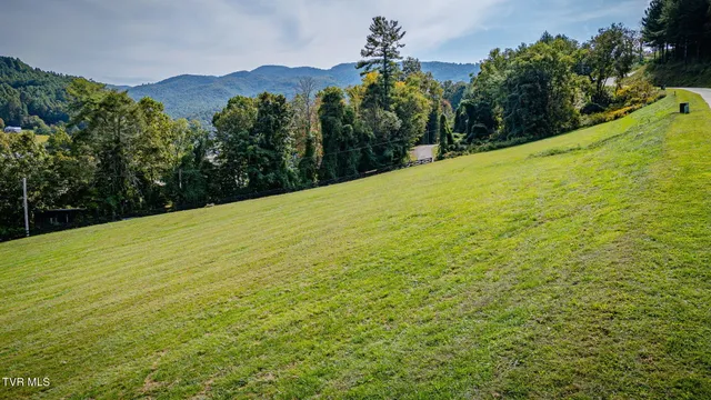 $275,000 | Lot 17 Cowan Town Road, Unit 17, Butler, TN 37640