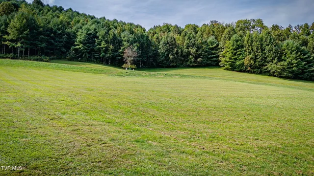 $275,000 | Lot 17 Cowan Town Road, Unit 17, Butler, TN 37640