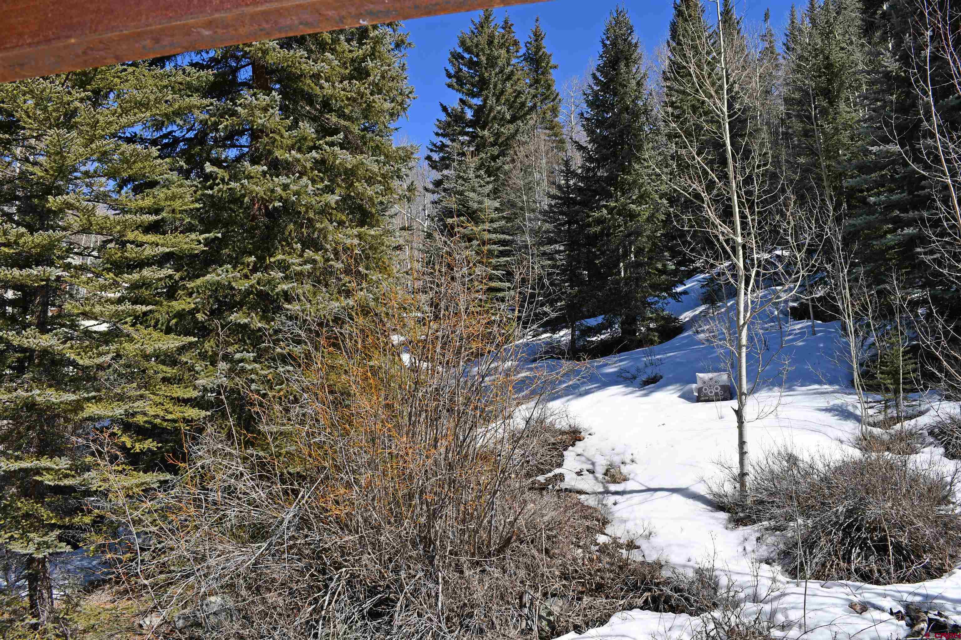 15 South Garfield Street Rico, CO 81332 - Photo 34 of 45