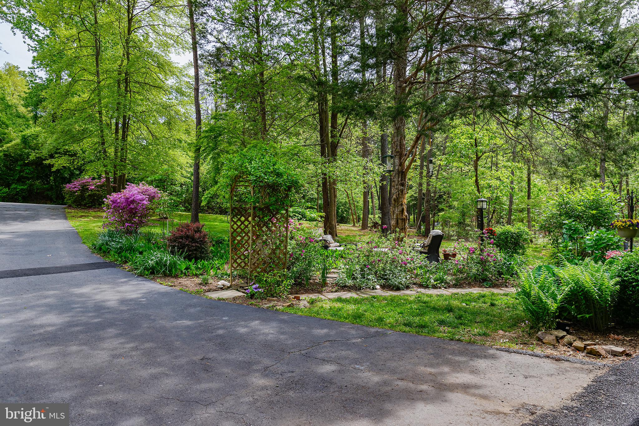 39225 Foxhill Road Leesburg, VA 20175 - Photo 8 of 39 View of street from home